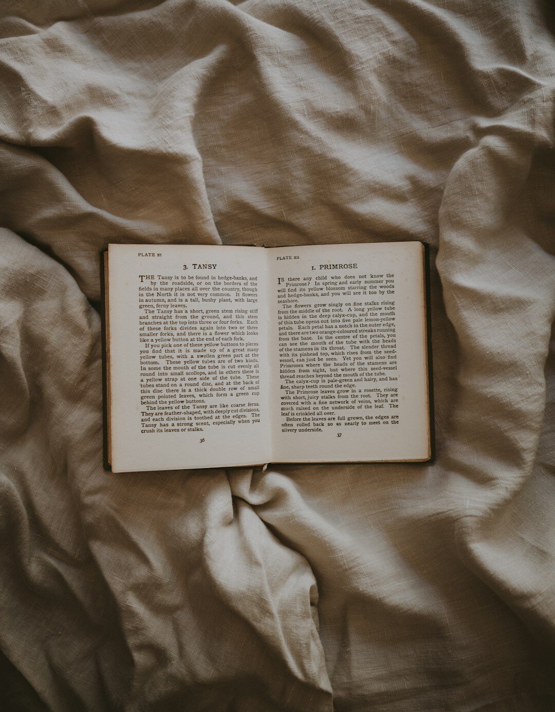 Open vintage book with aged pages on a wooden desk